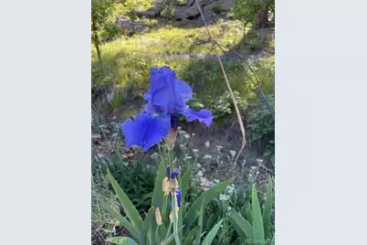 2613 Pheasant Loop, Westcliffe, CO 81252 - Photo 45