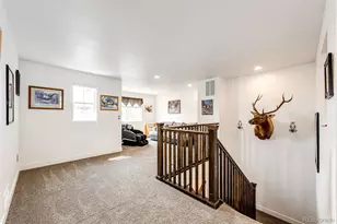 6579 Steuben Way, Castle Rock, CO 80108 - Photo 19