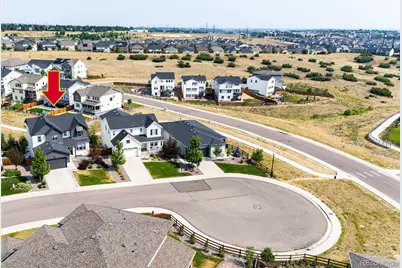 6579 Steuben Way, Castle Rock, CO 80108 - Photo 3