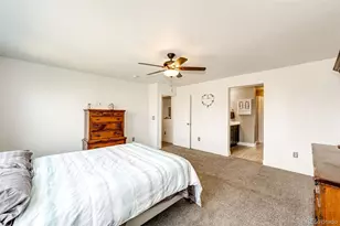 6579 Steuben Way, Castle Rock, CO 80108 - Photo 23