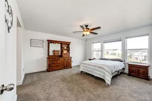 6579 Steuben Way, Castle Rock, CO 80108 - Photo 21