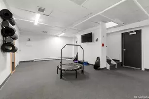 955 Eudora St, Denver, CO 80220 - Photo 31