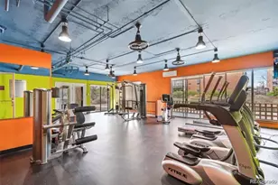 955 Eudora St, Denver, CO 80220 - Photo 29