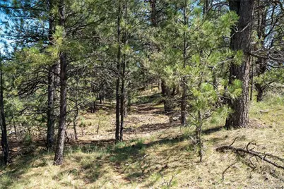 Tbd-2 Paradise Circle, Elizabeth, CO 80107 - Photo 9