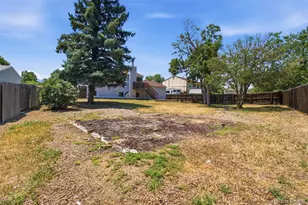 9525 W David Ave, Littleton, CO 80128 - Photo 35