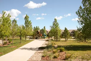 18232 Caffey Dr, Parker, CO 80134 - Photo 29