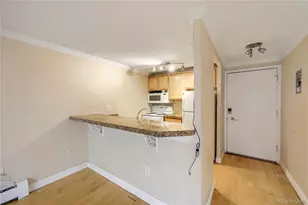 1125 N Washington St, Denver, CO 80203 - Photo 11