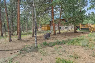 104 Six Bits St, Bailey, CO 80421 - Photo 37