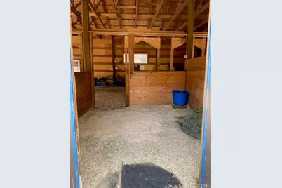 104 Six Bits Street, Bailey, CO 80421 - Photo 33