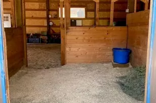 104 Six Bits St, Bailey, CO 80421 - Photo 33