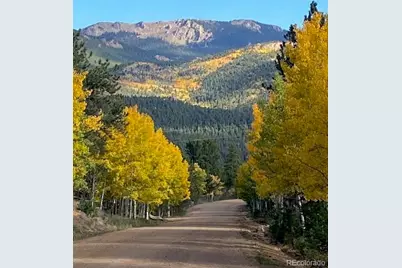 104 Six Bits Street, Bailey, CO 80421 - Photo 45