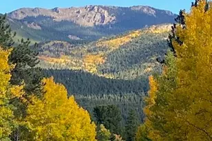 104 Six Bits St, Bailey, CO 80421 - Photo 45