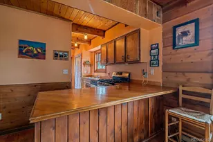 104 Six Bits St, Bailey, CO 80421 - Photo 13