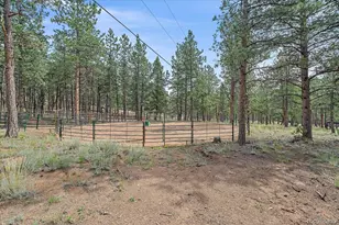 104 Six Bits St, Bailey, CO 80421 - Photo 35