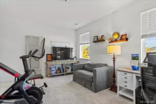 9790 Mount Kataka Point, Littleton, CO 80125 - Photo 25