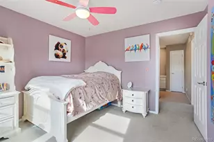 1164 Hondo Ct, Castle Rock, CO 80104 - Photo 21