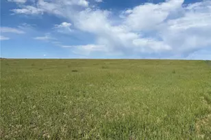 Parcel 4 County Road 33, Elbert, CO 80106 - Photo 1