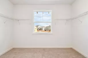 9227 Gold Lace Pl, Highlands Ranch, CO 80129 - Photo 31