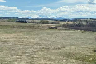 4166 S Castlewood Canyon Rd, Castle Rock, CO 80104 - Photo 47