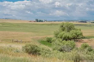 4166 S Castlewood Canyon Rd, Castle Rock, CO 80104 - Photo 43