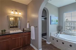 9691 Sunset Hill Pl, Lone Tree, CO 80124 - Photo 19