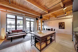 2955 Inca St, Denver, CO 80202 - Photo 13
