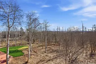 252 Iron Mountain Rd, Fairplay, CO 80440 - Photo 37