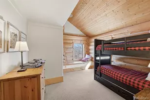 252 Iron Mountain Rd, Fairplay, CO 80440 - Photo 11