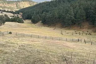 21849 Cabrini Blvd, Golden, CO 80401 - Photo 45