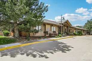 6500 Silver Mesa Dr, Highlands Ranch, CO 80130 - Photo 31