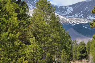 322 Fir Dr, Twin Lakes, CO 81251 - Photo 1