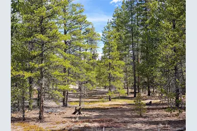 322 Fir Drive, Twin Lakes, CO 81251 - Photo 17