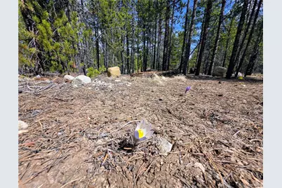 322 Fir Drive, Twin Lakes, CO 81251 - Photo 15