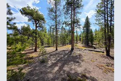 322 Fir Drive, Twin Lakes, CO 81251 - Photo 13