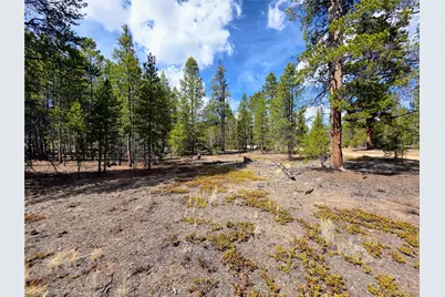 322 Fir Drive, Twin Lakes, CO 81251 - Photo 5