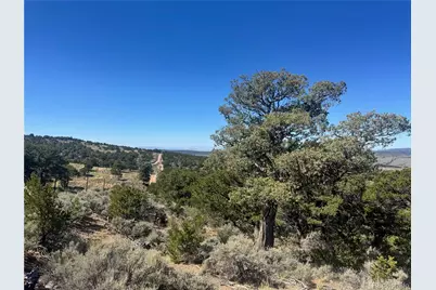 Lot 7878 Stone Road, Fort Garland, CO 81133 - Photo 3