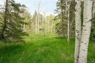 29055 S Sunset Trail, Conifer, CO 80433 - Photo 7