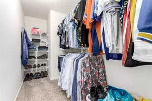 3505 Dinosaur St, Castle Rock, CO 80109 - Photo 17