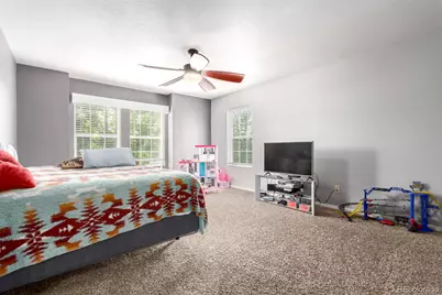 3505 Dinosaur Street, Castle Rock, CO 80109 - Photo 19