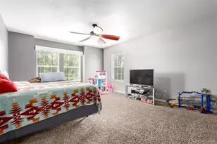 3505 Dinosaur St, Castle Rock, CO 80109 - Photo 19