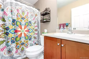 3505 Dinosaur St, Castle Rock, CO 80109 - Photo 21