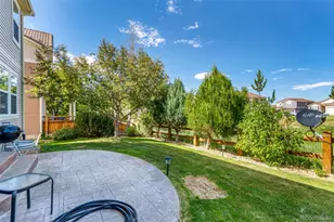 3505 Dinosaur St, Castle Rock, CO 80109 - Photo 27