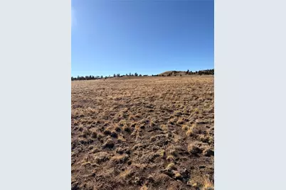 Lots 21 & 24 Thrush Lane, Hartsel, CO 80449 - Photo 7