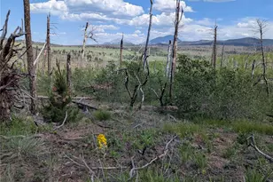 1956 Hilda Ln, Fort Garland, CO 81133 - Photo 1