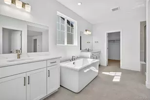 3438 Backdrop Ct, Castle Rock, CO 80108 - Photo 23