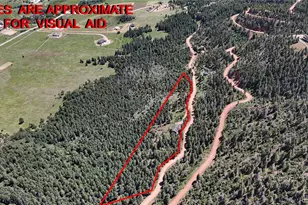 13525 Woodmoor W Dr, Larkspur, CO 80118 - Photo 49