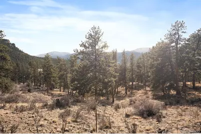 260 Bailey Drive, Bailey, CO 80421 - Photo 13