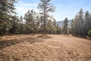 260 Bailey Dr, Bailey, CO 80421 - Photo 1