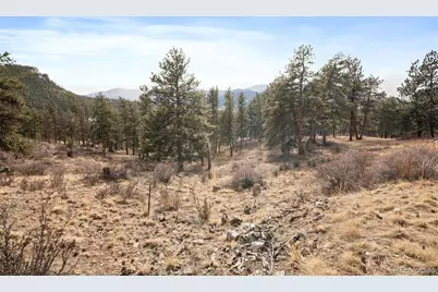 260 Bailey Drive, Bailey, CO 80421 - Photo 15