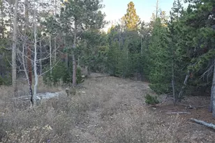 87 Circle Rd, Golden, CO 80403 - Photo 9